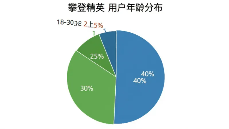 饼状图展示“攀登精英”用户年龄分布，18-30岁占比25%，31-45岁占比40%，46-60岁占比30%，60岁以上占比5%，图表颜色以绿色和蓝色为主，风格简洁清晰，背景白色，画质干净，无多余元素