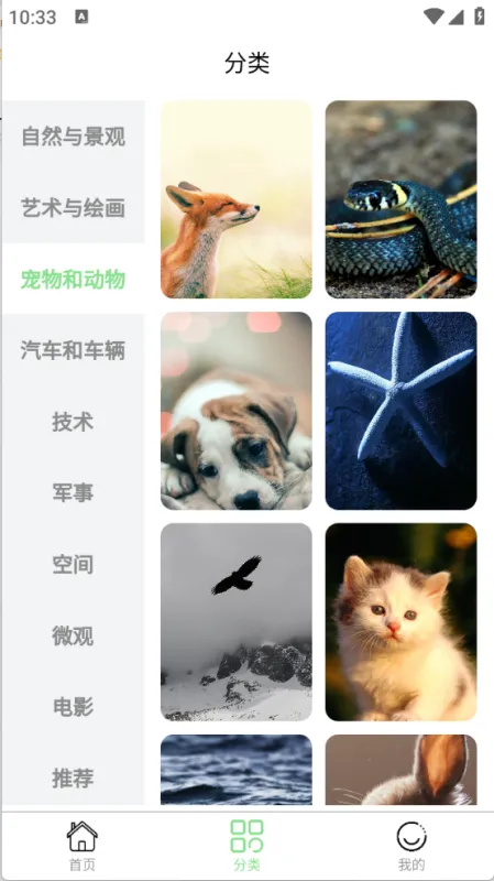 每日淘壁纸 安卓版 下载
