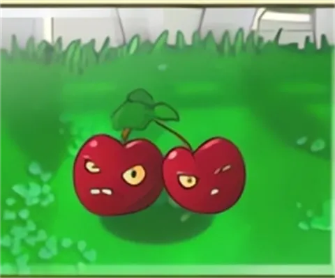 普通白天植物介绍2