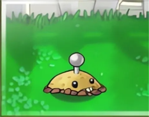 普通白天植物介绍4