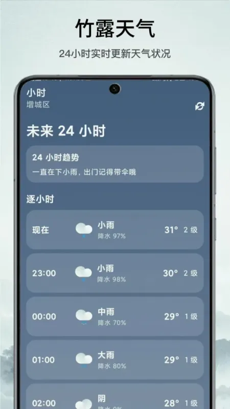 竹露天气-精准天气预报截图4