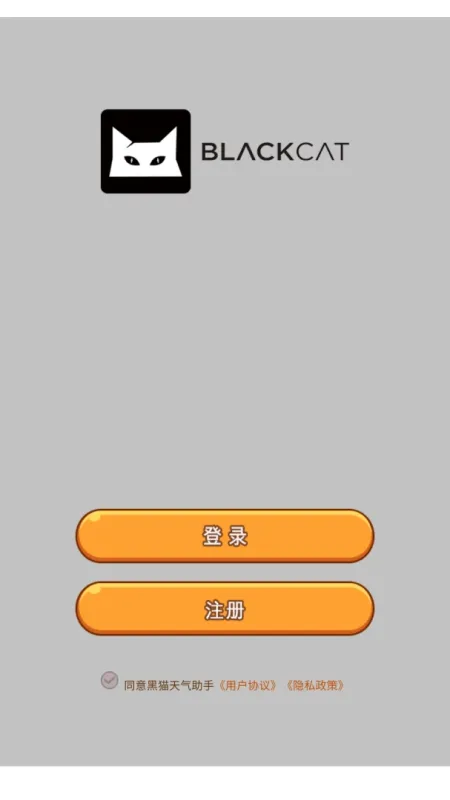 黑猫天气助手-精准天气预报截图2