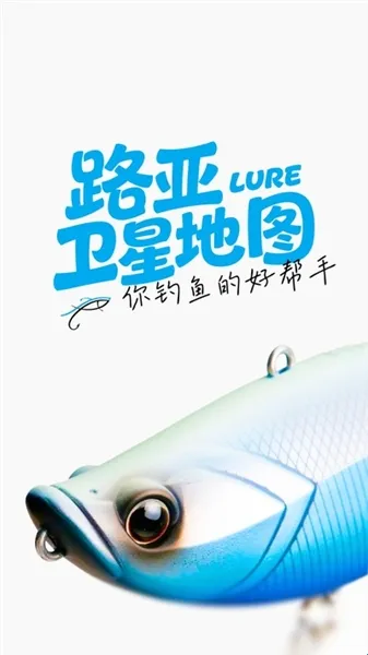 路亚卫星地图