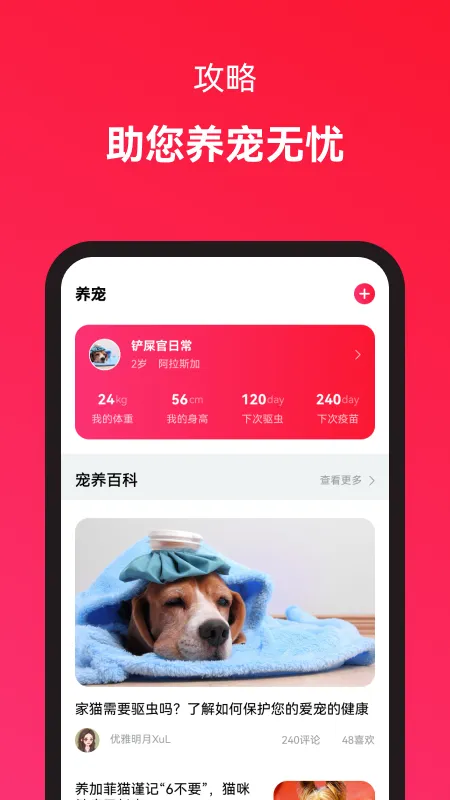 哆哆伙伴 安卓版 聊天界面