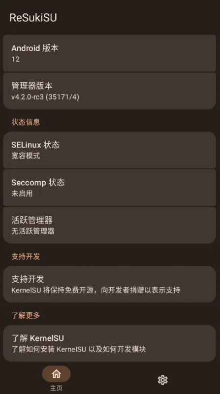 ReSukiSU内核级权限神器截图3