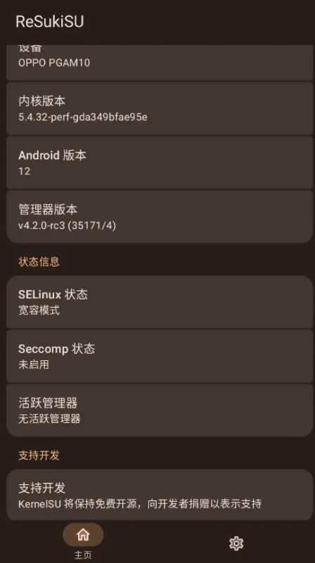 ReSukiSU内核级权限神器截图2