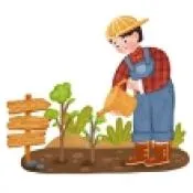 花草时光领取红包