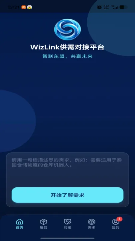 WizLink-智能网络连接工具截图1
