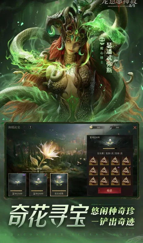 龙息：神寂-魔幻策略卡牌截图10