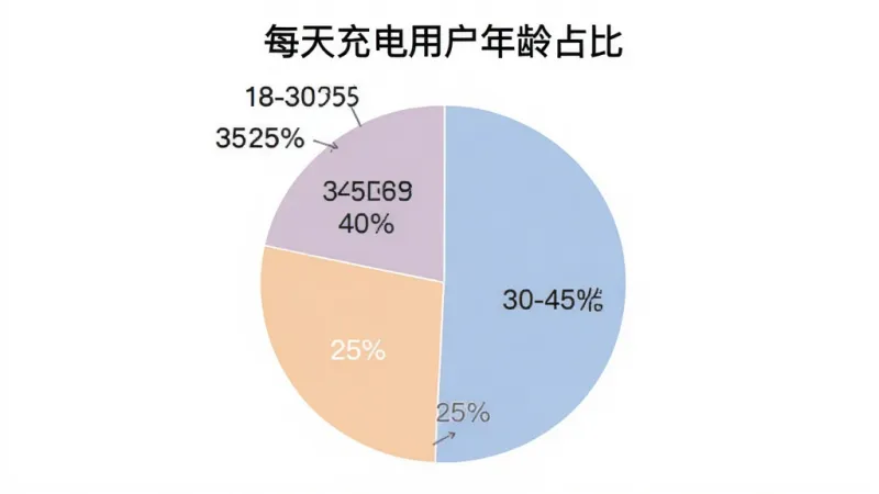 一张饼状图，展示每天充电用户年龄分布，18-30岁占35%，30-45岁占40%，45-60岁占25%，配色柔和，图表清晰，标题为“每天充电用户年龄占比
