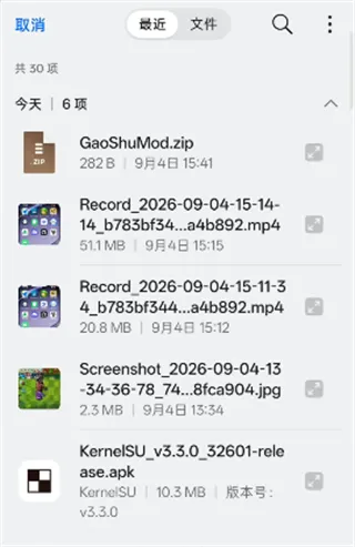 PVZRH Launcher启动器