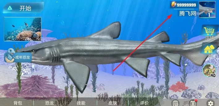 旋齿鲨模拟器无限金币版(Helicoprion Simulator) 旋齿鲨模拟器无限金币版(Helicoprion Simulator)
