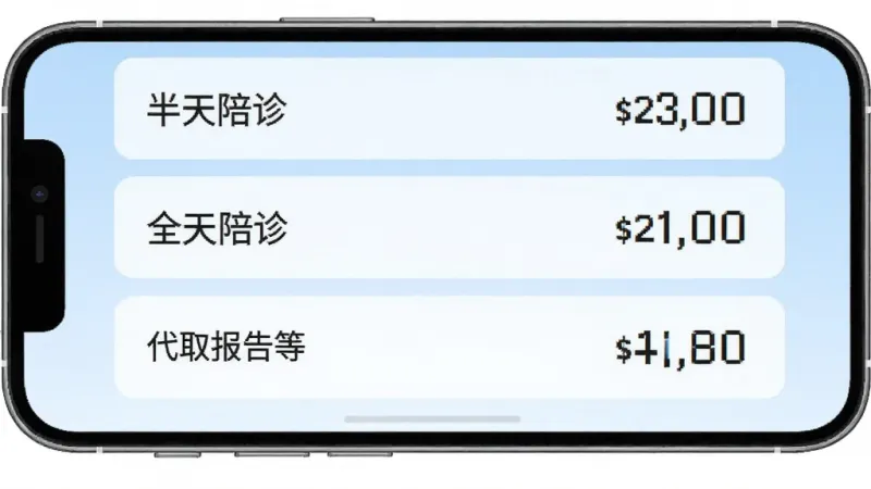 雨浓陪诊服务项目价格表截图风格界面,手机屏幕显示半天陪诊、全天陪诊、代取报告等选项和对应价格数字,背景为淡蓝色渐变,风格商务简洁,布局为列表式排列,细节数字清晰,画质干净,无多余装饰