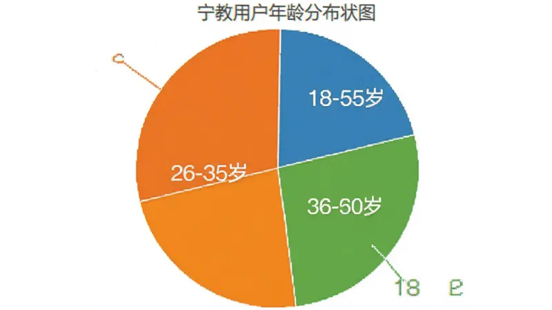 一张展示宁教用户年龄分布饼状图的图片,画面中饼图分为三个扇形区域,分别标注“18-25岁”“26-35岁”“36-60岁”,颜色区分明显,图表简洁清晰,背景干净,无多余元素