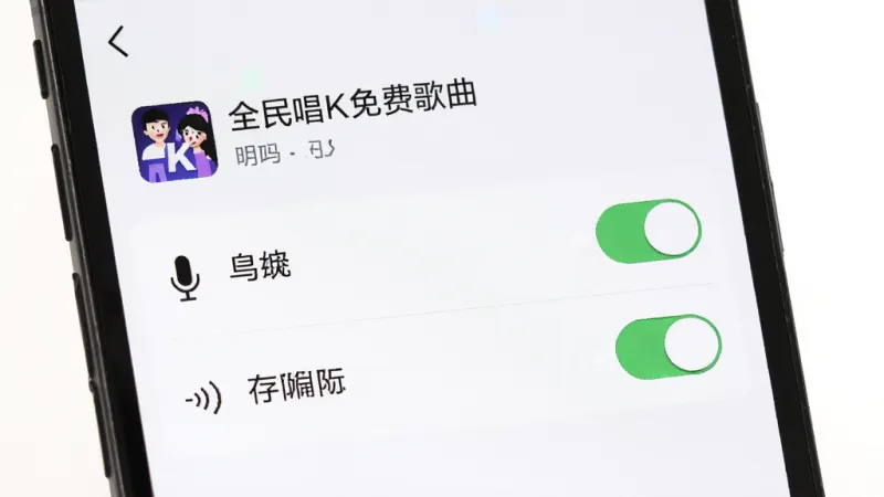 一张展示手机权限设置界面的图片,画面中“全民唱K免费歌曲”的权限管理页面,麦克风和存储权限开关清晰可见,风格简洁直观,画质干净无多余元素。
