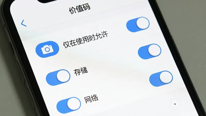 一张手机屏幕截图，画面显示“价值码”APP的权限设置页面，页面上有相机、存储、网络三个权限开关，相机权限旁边标注“仅在使用时允许”，界面以白色背景和蓝色开关按钮为主，文字清晰，布局简洁，画质干净无多余元素