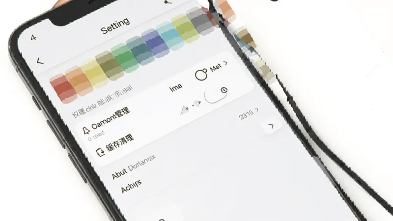 一张展示配色库软件在手机上安装和设置界面的图片,主体是手机屏幕,屏幕中显示配色库应用的设置页面,包含权限管理、缓存清理、关于软件等选项,界面布局简洁,背景为白色,风格现代扁平,画质清晰,干净,无多余元素。