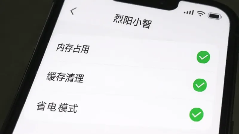 手机屏幕展示