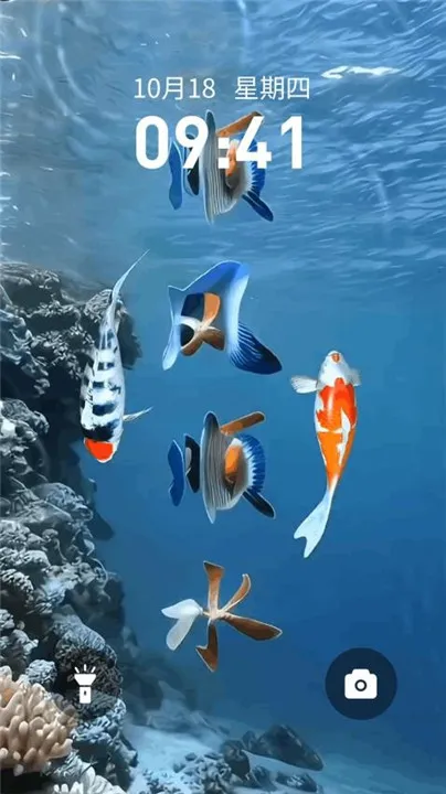 锦鲤金鱼壁纸截图1