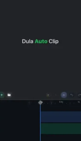 DulaAutoClip DulaAutoClip