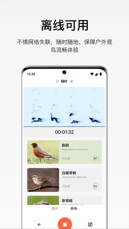 懂鸟 安卓版 识别界面