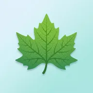 辉煌梧桐