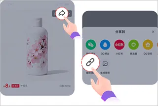 成分喵