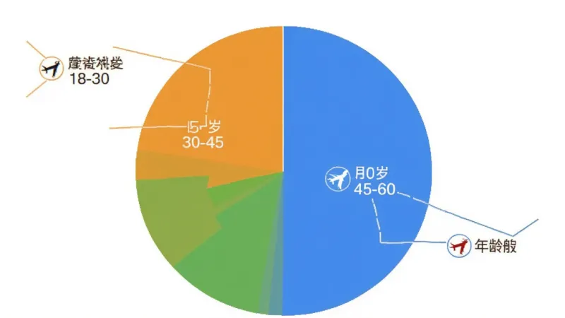 中华航空 App 用户年龄分布 饼状图 18-30岁 30-45岁 45-60岁 三个扇形区域 不同颜色标注 简洁图表风格 画质干净 无多余元素