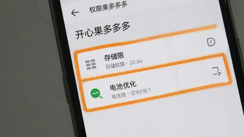 画面展示一部手机屏幕，屏幕上是“开心果多多多”的权限设置界面，有存储权限和电池优化两个选项被高亮标注，背景是浅灰色设置菜单，排版清晰，风格扁平化，细节明确，画质干净无多余元素。