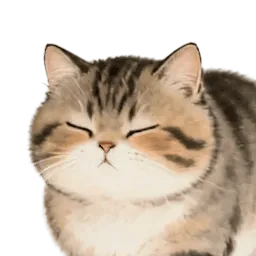 毛孩子日记