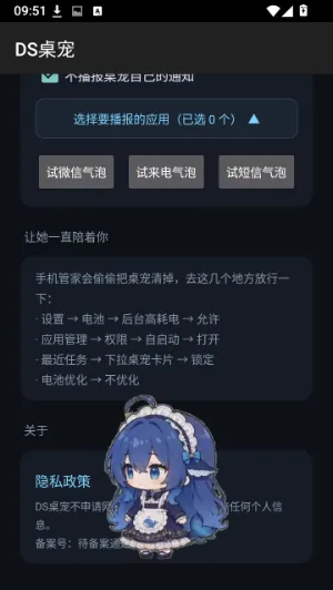 DS桌宠怎么用4 DS桌宠怎么用4