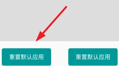 虚拟相机怎么重置默认应用1 虚拟相机怎么重置默认应用1