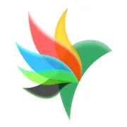 小鸟启程