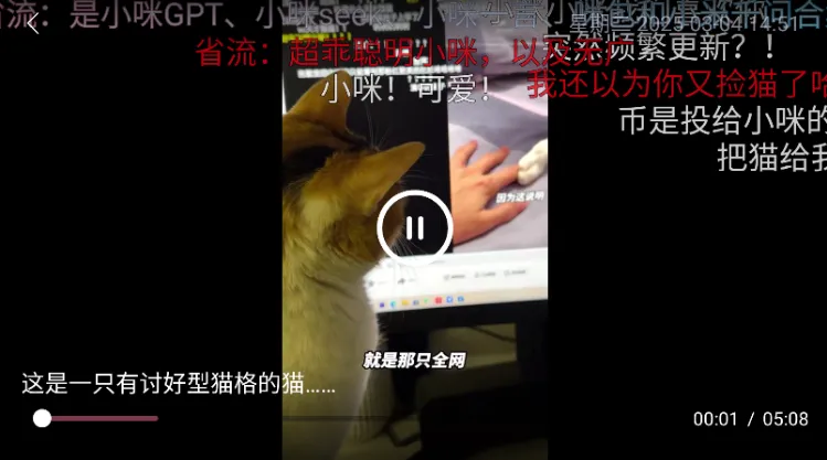 老比利TV版怎么看视频5