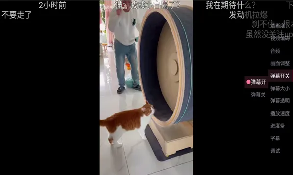 老比利TV版怎么关弹幕3