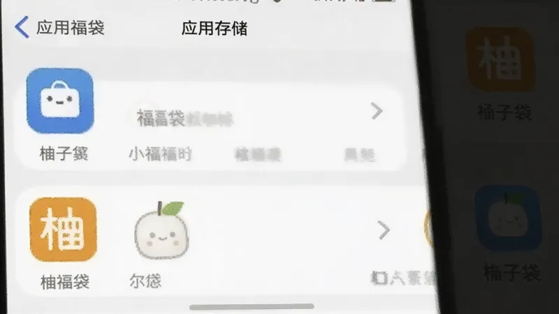 柚子福袋 应用存储占用截图 手机设置界面 显示小容量 简洁图标 蓝白色调 干净画质