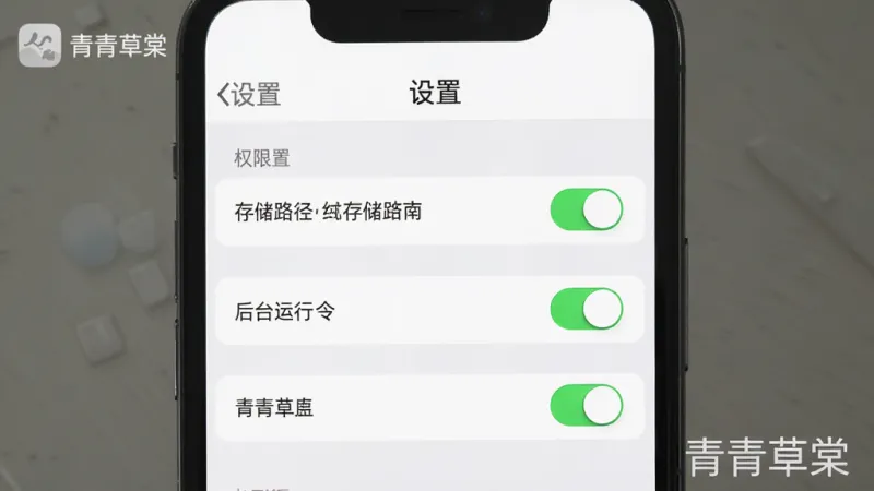 一张展示青青草棠设置界面的图片,主体是手机屏幕显示权限管理和存储设置选项,布局为顶部标题“设置”、中间是存储路径选择和后台运行开关,排版清晰,风格为极简设计,细节上开关按钮为绿色高亮,文字标注明确,画质干净无多余元素,画面中带有“青青草棠”字样。