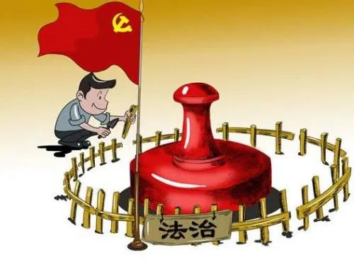 棠安健康 安卓版 界面截图