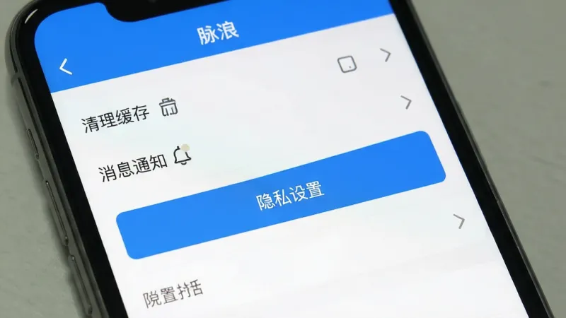 一张手机屏幕截图,展示“脉浪”App的设置页面,页面中包含“清理缓存”、“消息通知”、“隐私设置”等选项,界面简洁,蓝色高亮按钮突出,风格清爽,画质干净无多余元素