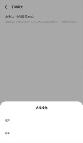 歌词适配器下载怎么用3 歌词适配器下载怎么用3