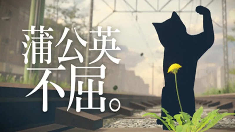 蒲公英不屈 蒲公英不屈
