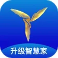 三翼鸟安卓版下载