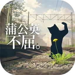 蒲公英不屈