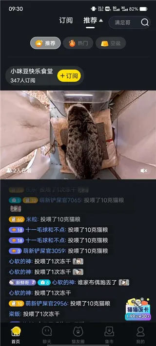 怎么看附近猫屋2