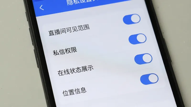 爱手隐私设置页面展示,手机屏幕显示设置菜单列表,包含直播间可见范围、私信权限、在线状态展示、位置信息等选项,每个选项旁边有开关按钮,界面简洁,蓝白配色,画质干净无多余元素