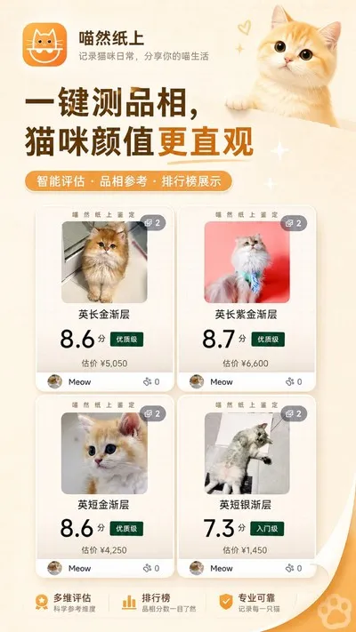 喵然纸上官方版截图4