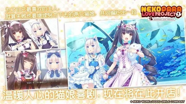 猫娘乐园最新安卓版截图3
