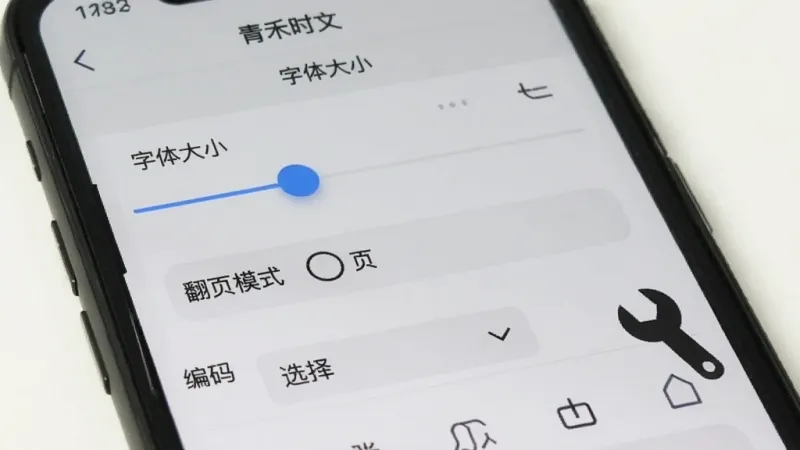 手机屏幕显示“青禾时文”的阅读设置面板，上面有字体大小滑块、翻页模式选项和编码选择下拉菜单，旁边配有一个扳手图标表示故障排查，风格简洁实用，画质干净