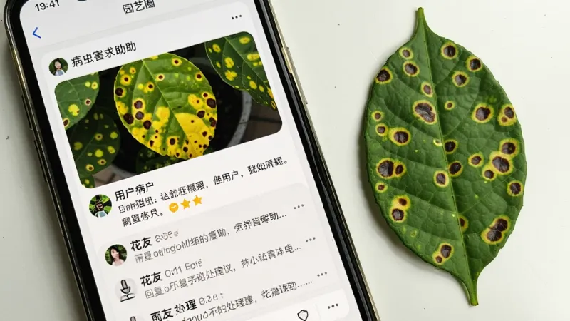 一张展示园艺圈APP病虫害求助帖子的手机截图,手机屏幕上显示一张植物叶片发黄带斑点的照片,下方有用户文字描述症状,评论区有多条花友回复给出处理建议,界面以白色背景为主,帖子卡片有圆角设计,手机旁边放着一片真实的带斑点叶片作为对照,风格真实自然,画质清晰,无多余元素