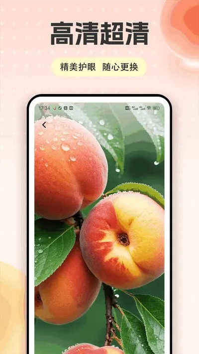 桃多多购安卓版截图2